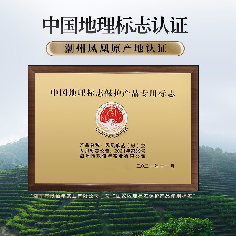 九百年茶业 凤凰单丛蜜兰香250g优高山单枞茶浓香型乌岽茶
